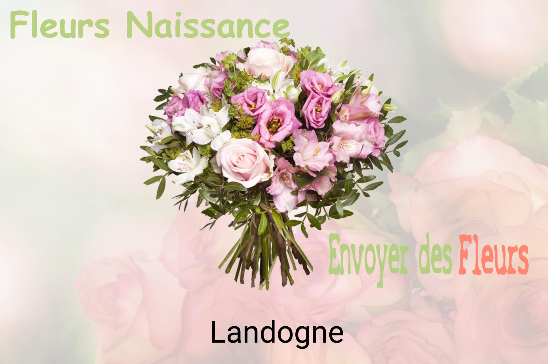 Bouquet de fleurs de naissance livré à Landogne