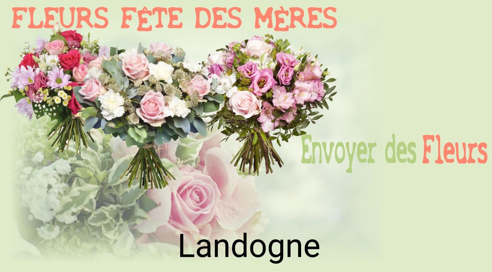 Bouquet de Fête des Mères livré à Landogne